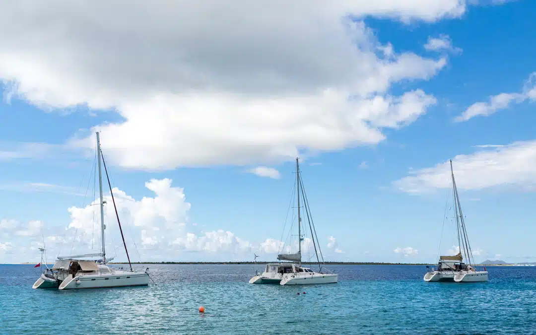 🌊 “When the Water Calls Again”